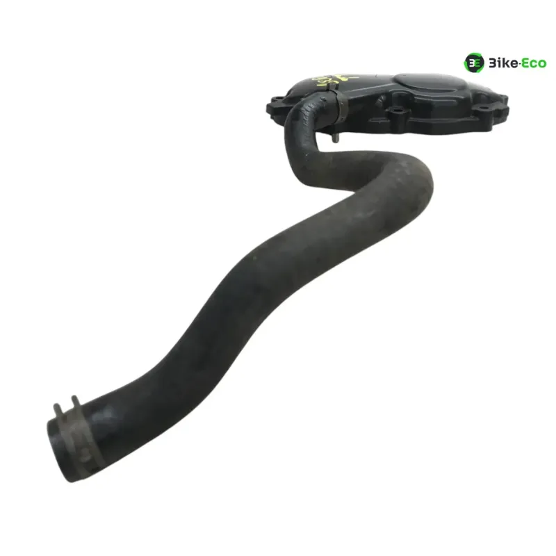 Carter moteur droit TRIUMPH TT 600 2000-2003