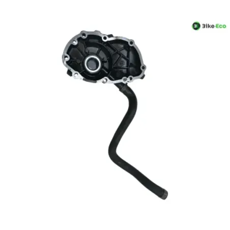 Carter moteur droit TRIUMPH TT 600 2000-2003