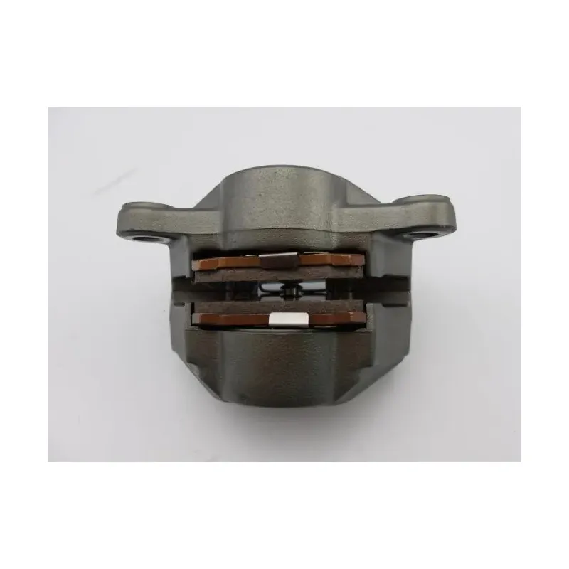 Etrier de frein arriere KTM SUPERDUKE 1290 R EVO ABS 2022 - 2023