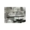 Carter moteur YAMAHA TDR 125 1993-1996