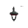 Support de plaque et eclairage DUCATI STREETFIGHTER 1100 2021-2025 V4