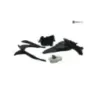 Support de plaque et eclairage HONDA NSS 125 2019-2020 FORZA
