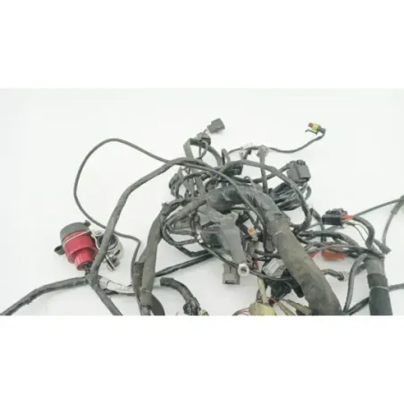 Faisceau electrique MV AGUSTA BRUTALE 675 ABS 2012 - 2017