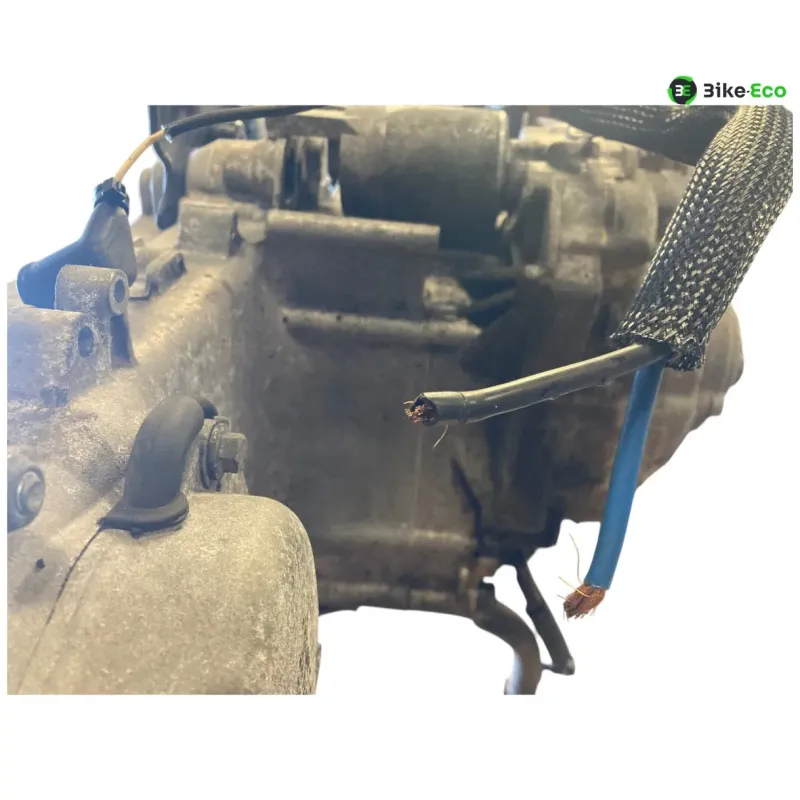 Moteur MALAGUTI MADISON 3 125 2006-2009