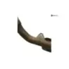 Silencieux droit (echappement) HONDA XL 1000 V 1999-2002 VARADERO Silencieux droit (echappement) HONDA XL 1000 V 1999-2002 VARADERO