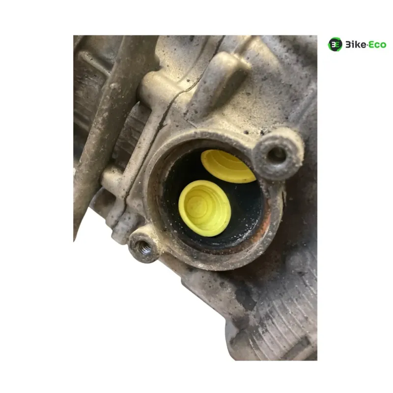Moteur KAWASAKI KLV 1000 2004-2005