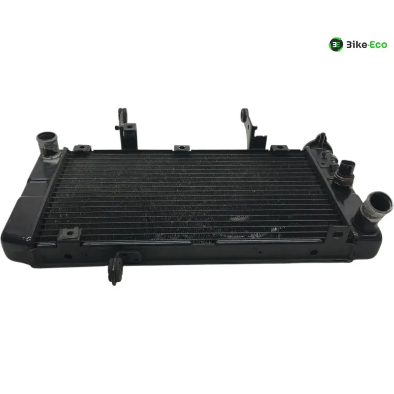 Radiateur eau KAWASAKI KLV 1000 2004-2005