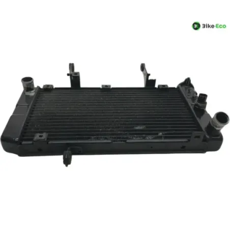 Radiateur eau KAWASAKI KLV 1000 2004-2005