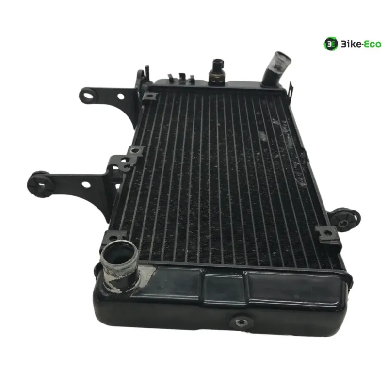Radiateur eau KAWASAKI KLV 1000 2004-2005