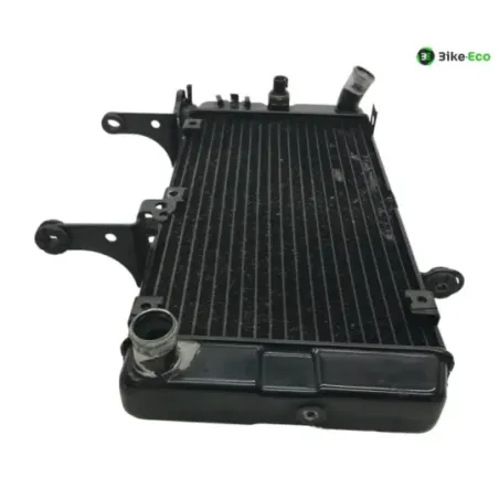 Radiateur eau KAWASAKI KLV 1000 2004-2005