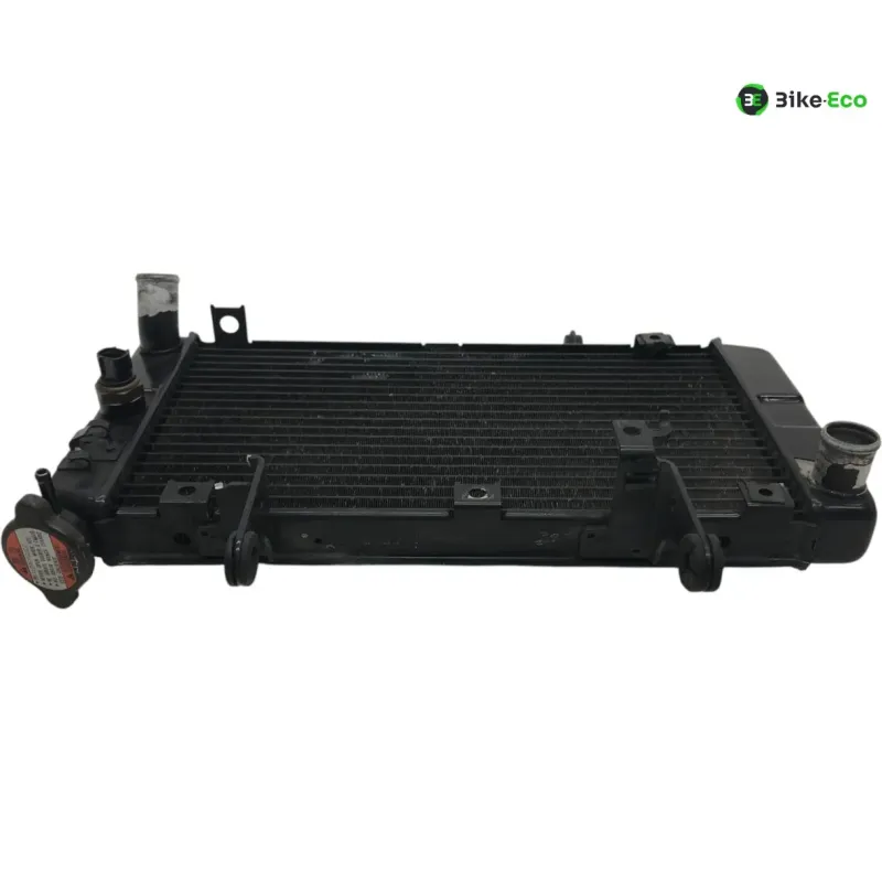 Radiateur eau KAWASAKI KLV 1000 2004-2005