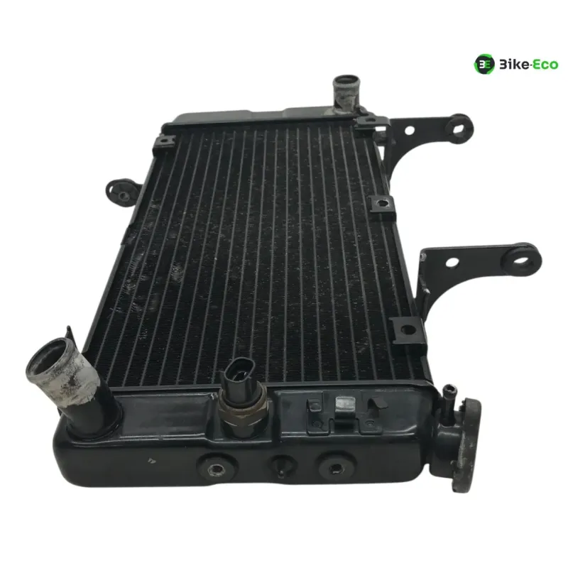 Radiateur eau KAWASAKI KLV 1000 2004-2005