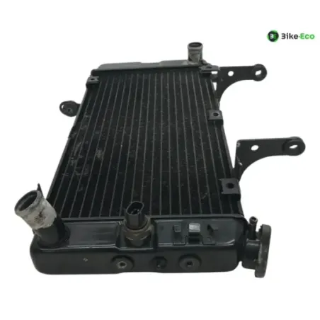 Radiateur eau KAWASAKI KLV 1000 2004-2005