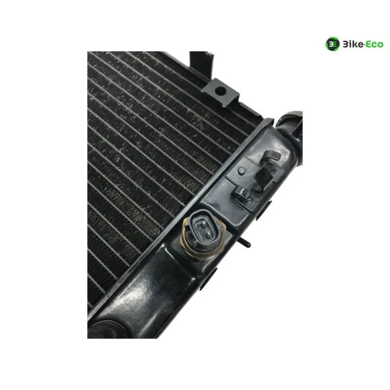 Radiateur eau KAWASAKI KLV 1000 2004-2005
