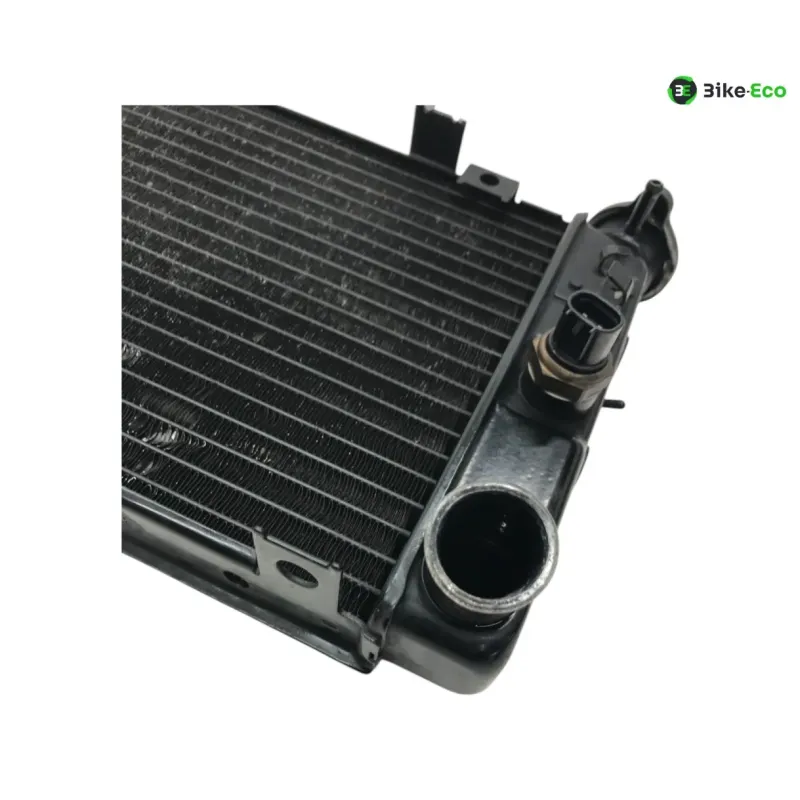 Radiateur eau KAWASAKI KLV 1000 2004-2005