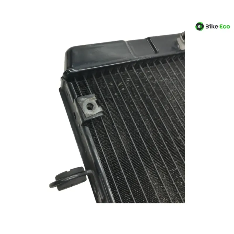 Radiateur eau KAWASAKI KLV 1000 2004-2005