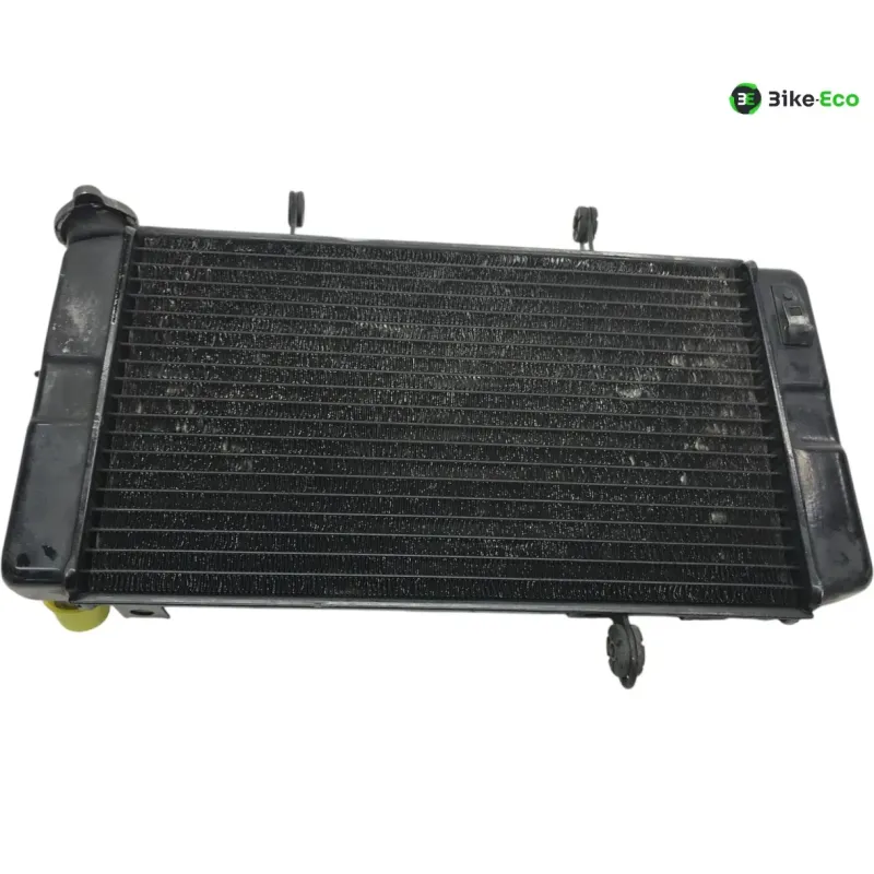 Radiateur eau KAWASAKI KLV 1000 2004-2005