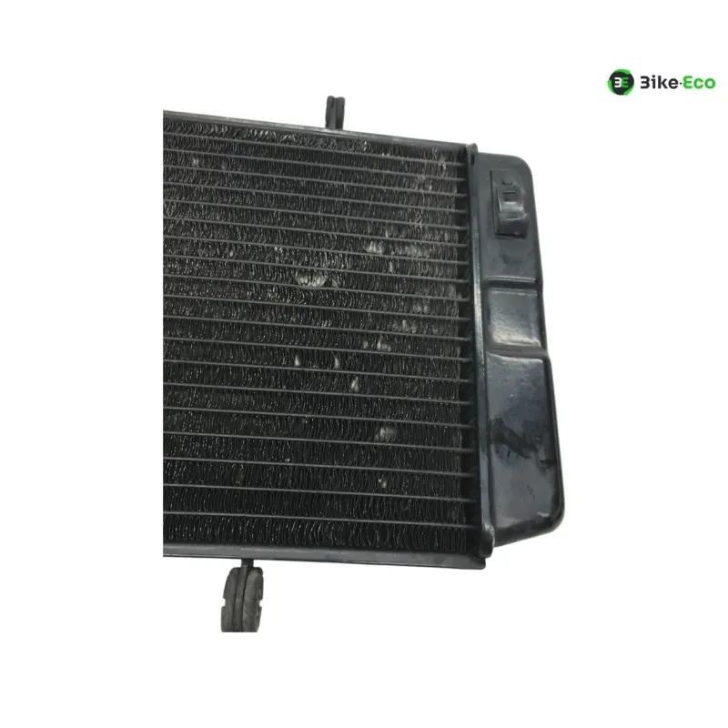 Radiateur eau KAWASAKI KLV 1000 2004-2005