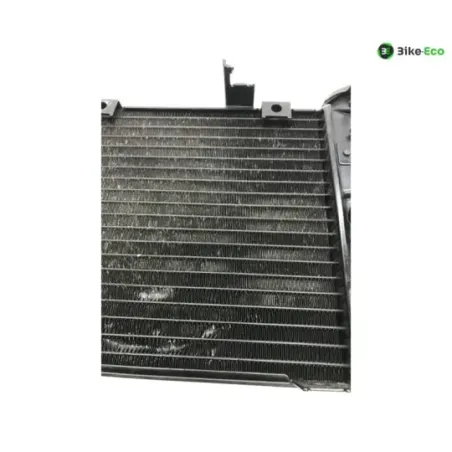 Radiateur eau KAWASAKI KLV 1000 2004-2005