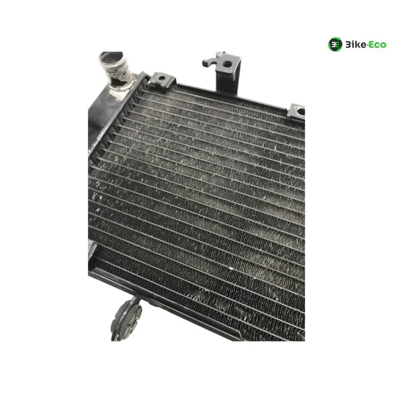 Radiateur eau KAWASAKI KLV 1000 2004-2005