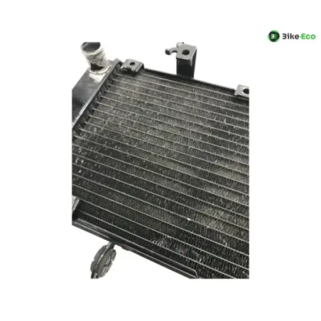 Radiateur eau KAWASAKI KLV 1000 2004-2005