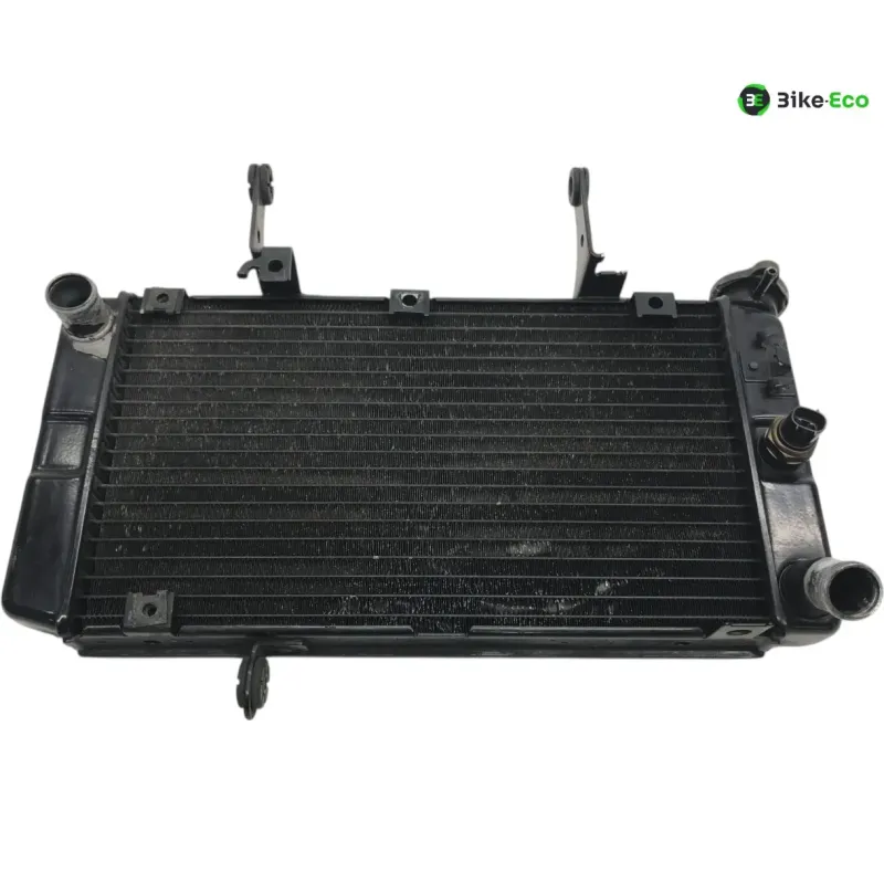 Radiateur eau KAWASAKI KLV 1000 2004-2005