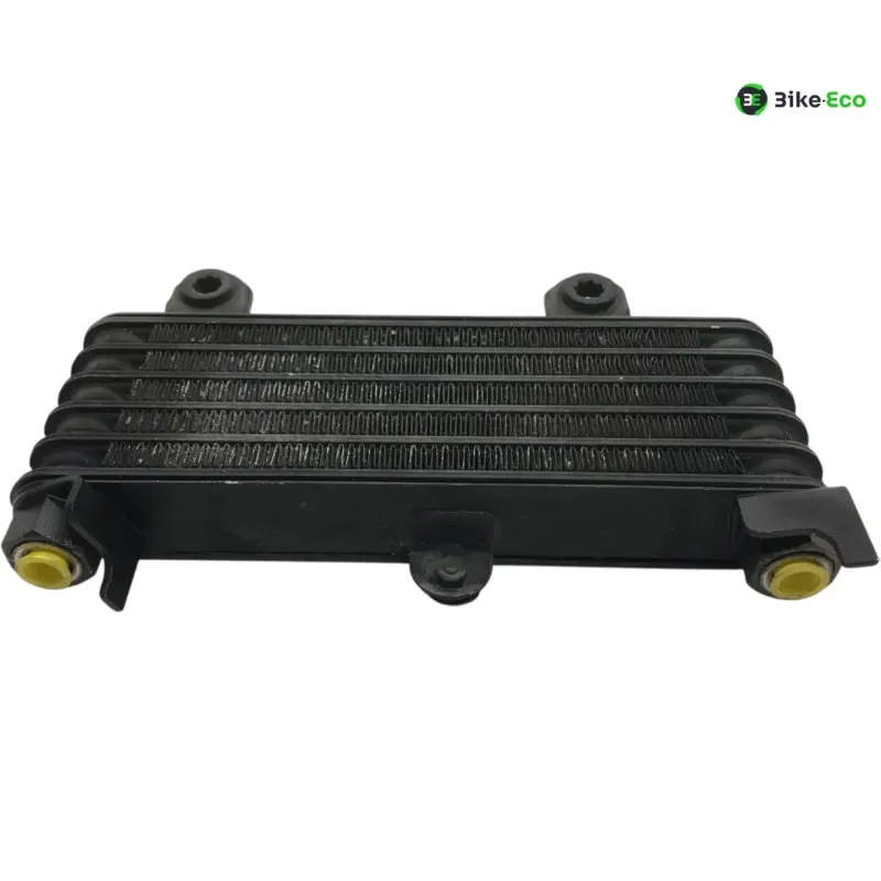 Radiateur huile KAWASAKI KLV 1000 2004-2005
