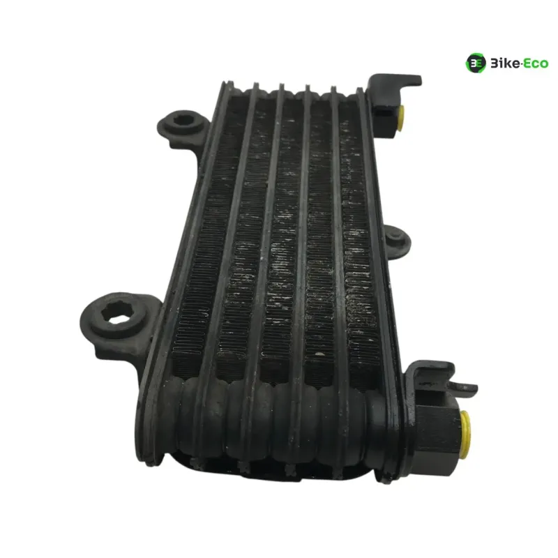 Radiateur huile KAWASAKI KLV 1000 2004-2005