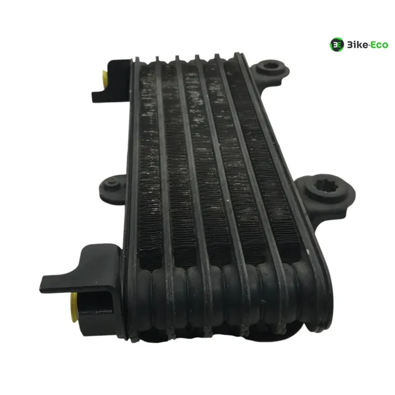 Radiateur huile KAWASAKI KLV 1000 2004-2005