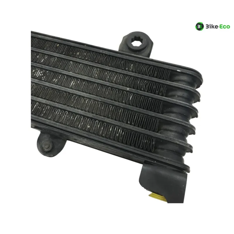 Radiateur huile KAWASAKI KLV 1000 2004-2005