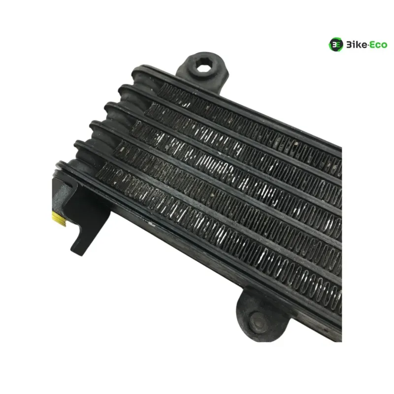 Radiateur huile KAWASAKI KLV 1000 2004-2005