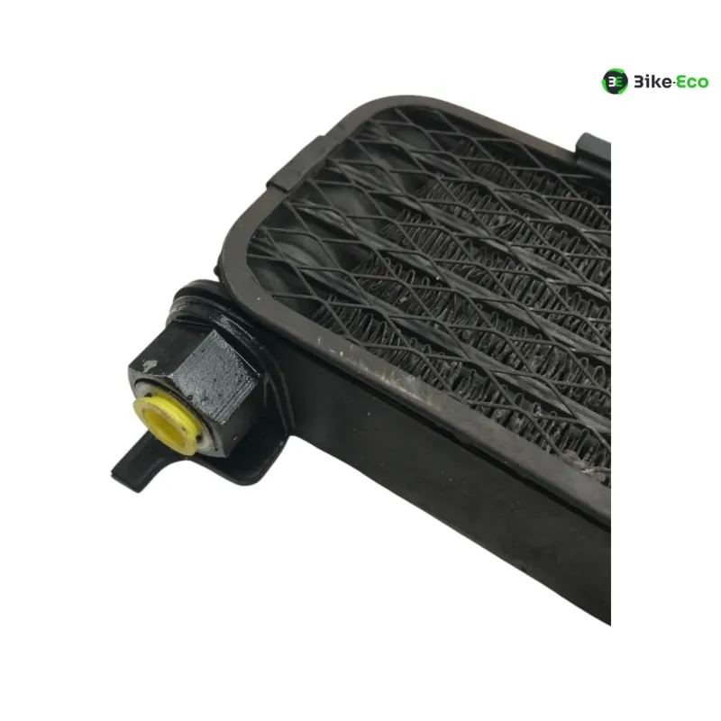 Radiateur huile KAWASAKI KLV 1000 2004-2005
