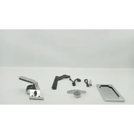Support de plaque et eclairage HARLEY DAVIDSON XL 1200 C SPORTSTER CUSTOM 2004 - 2020