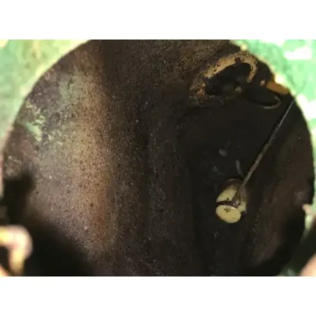 Reservoir APRILIA TUAREG 350 1987-1989 WIND