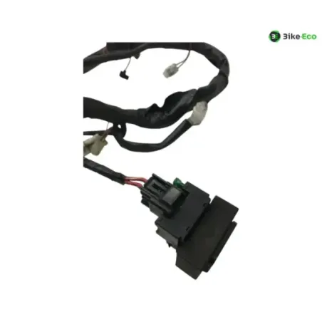 Faisceau electrique KAWASAKI KLV 1000 2004-2005
