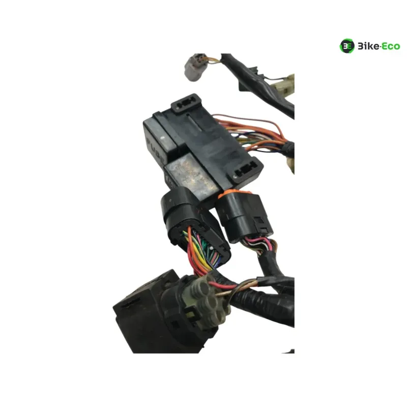 Faisceau electrique KAWASAKI KLV 1000 2004-2005