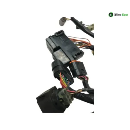 Faisceau electrique KAWASAKI KLV 1000 2004-2005