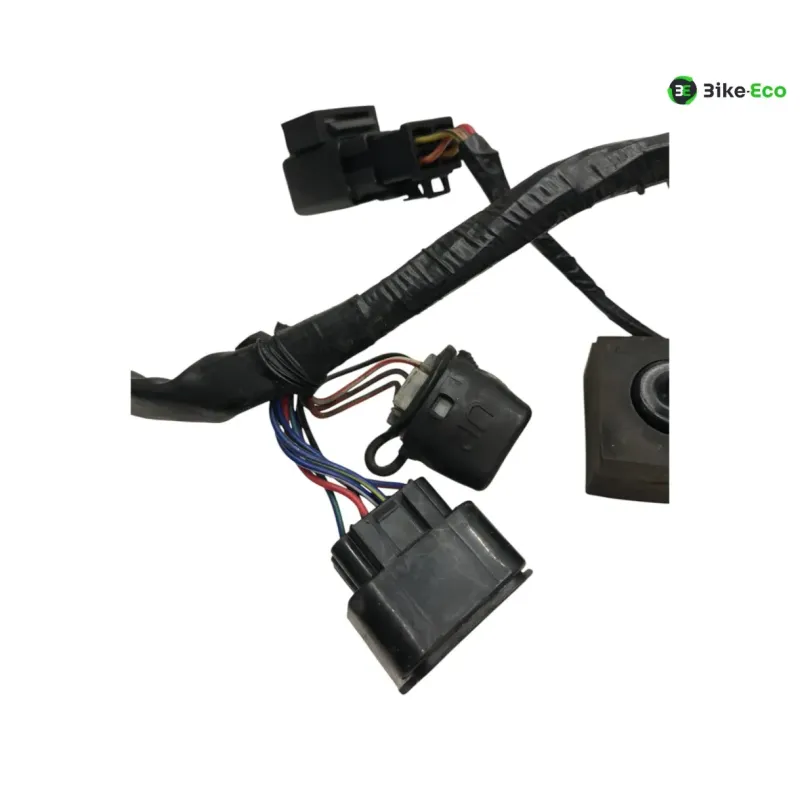 Faisceau electrique KAWASAKI KLV 1000 2004-2005