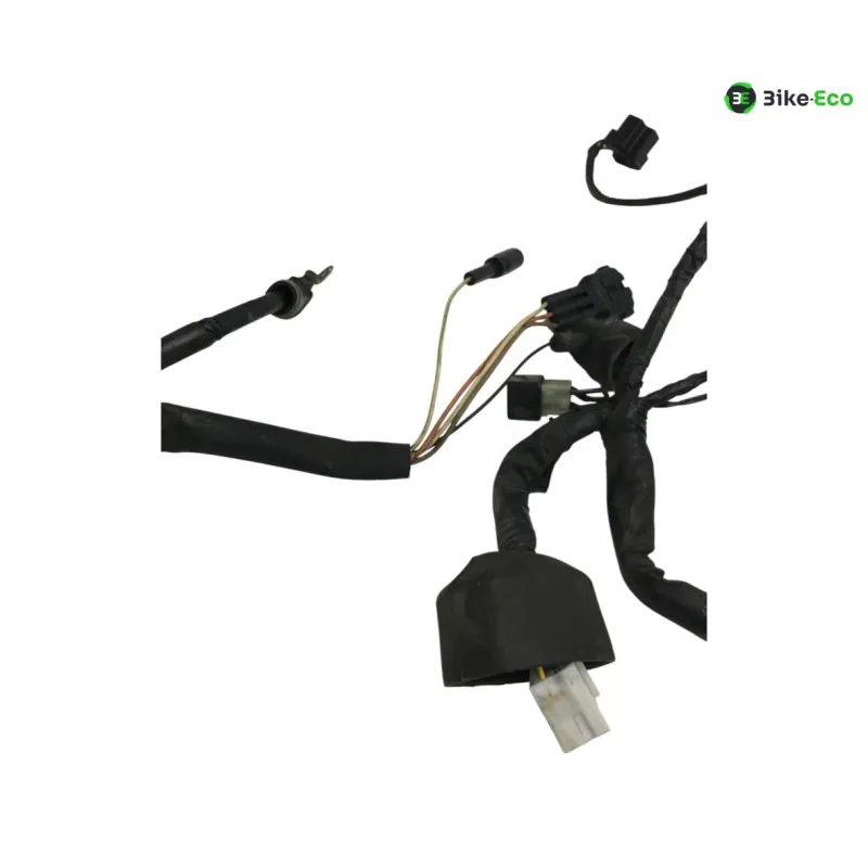 Faisceau electrique KAWASAKI KLV 1000 2004-2005