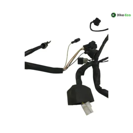 Faisceau electrique KAWASAKI KLV 1000 2004-2005