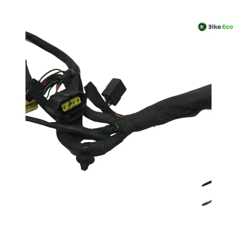 Faisceau electrique KAWASAKI KLV 1000 2004-2005