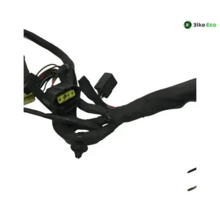 Faisceau electrique KAWASAKI KLV 1000 2004-2005