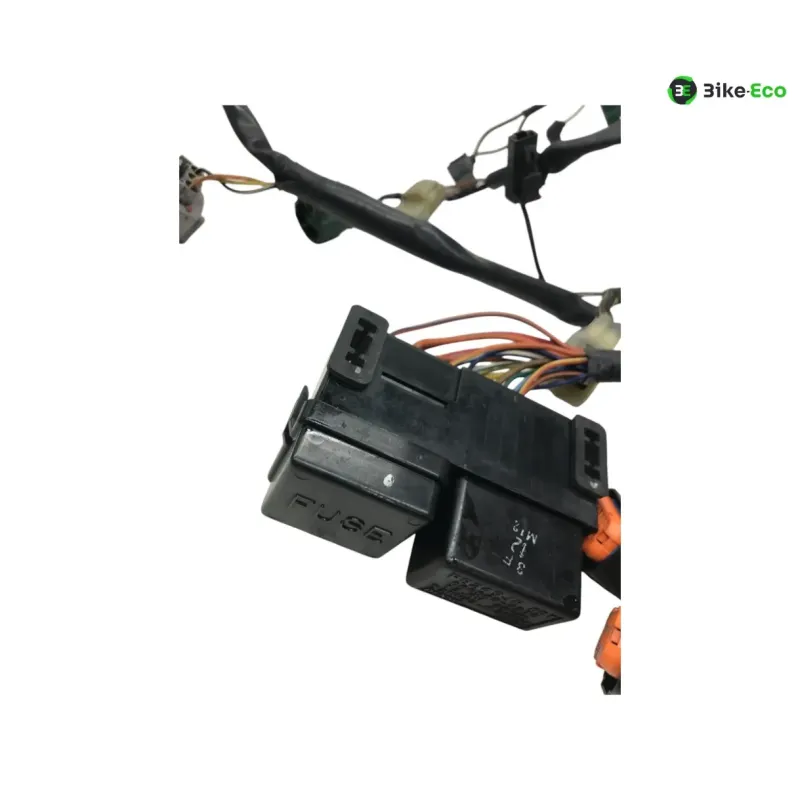 Faisceau electrique KAWASAKI KLV 1000 2004-2005