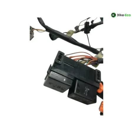 Faisceau electrique KAWASAKI KLV 1000 2004-2005