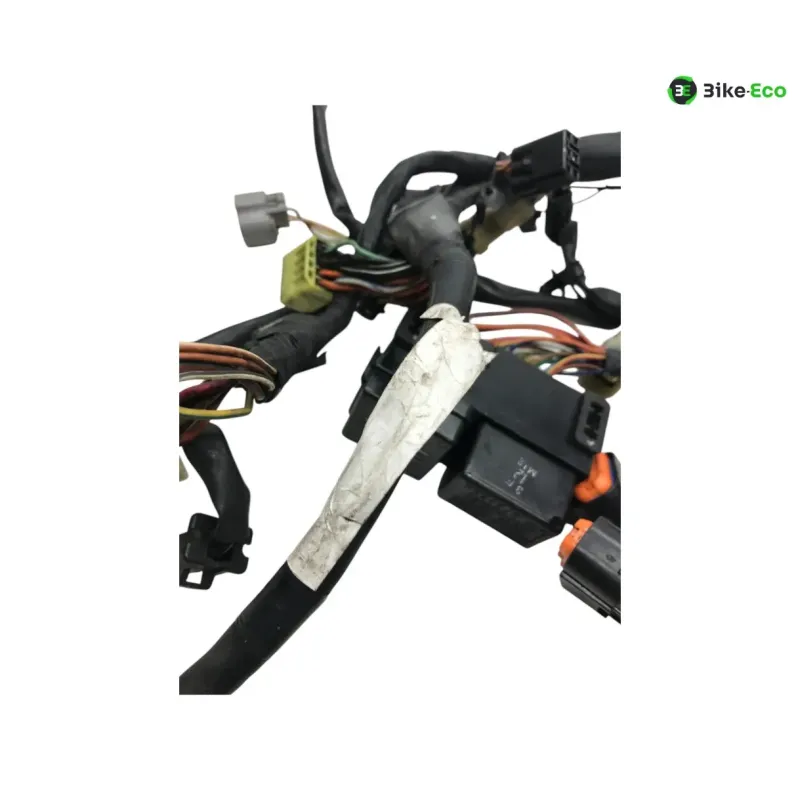 Faisceau electrique KAWASAKI KLV 1000 2004-2005