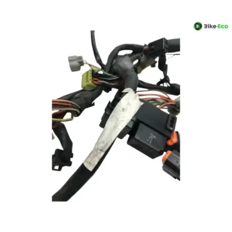 Faisceau electrique KAWASAKI KLV 1000 2004-2005