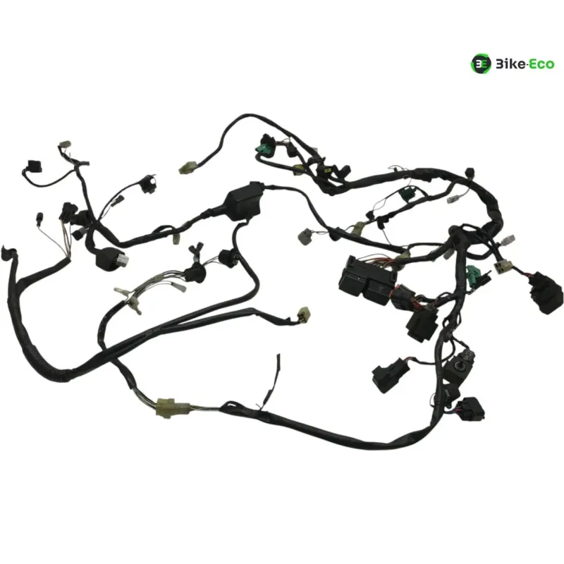 Faisceau electrique KAWASAKI KLV 1000 2004-2005
