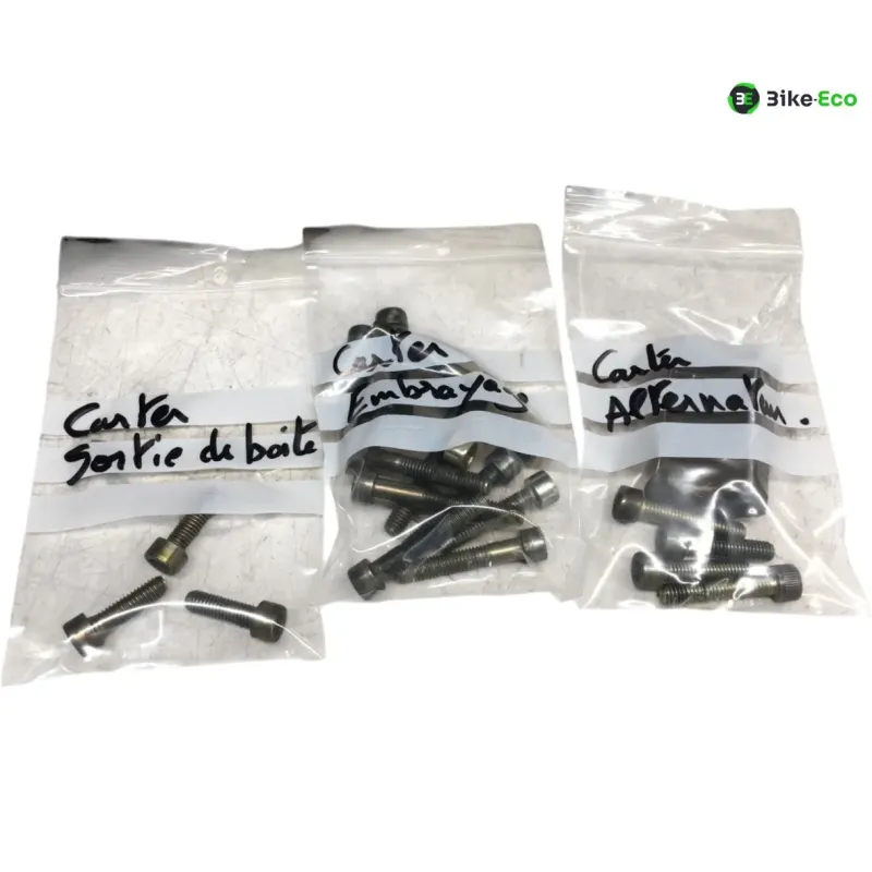Carter moteur APRILIA TUAREG 350 1987-1989 WIND