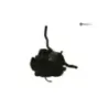 Boite a air KAWASAKI KLV 1000 2004-2005