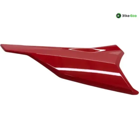 Cache carenage coque arriere droit BMW S 1000 R 2021-2024 K63